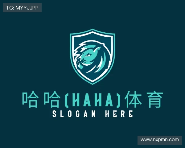 介绍哈哈体育